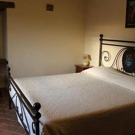 Fattoria Di Pieve Pagliaccia - Cantina Brugnoni *