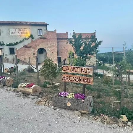 Fattoria Di Pieve Pagliaccia - Cantina Brugnoni Apartmán