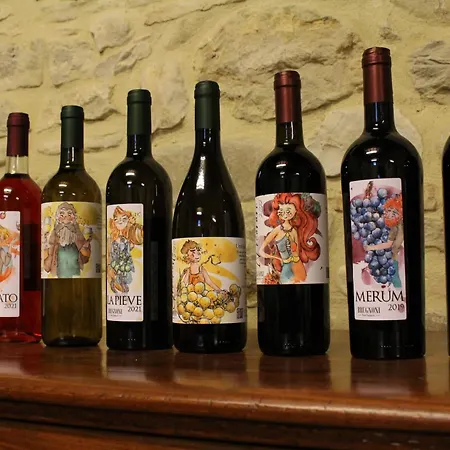 Fattoria Di Pieve Pagliaccia - Cantina Brugnoni Apartmán *